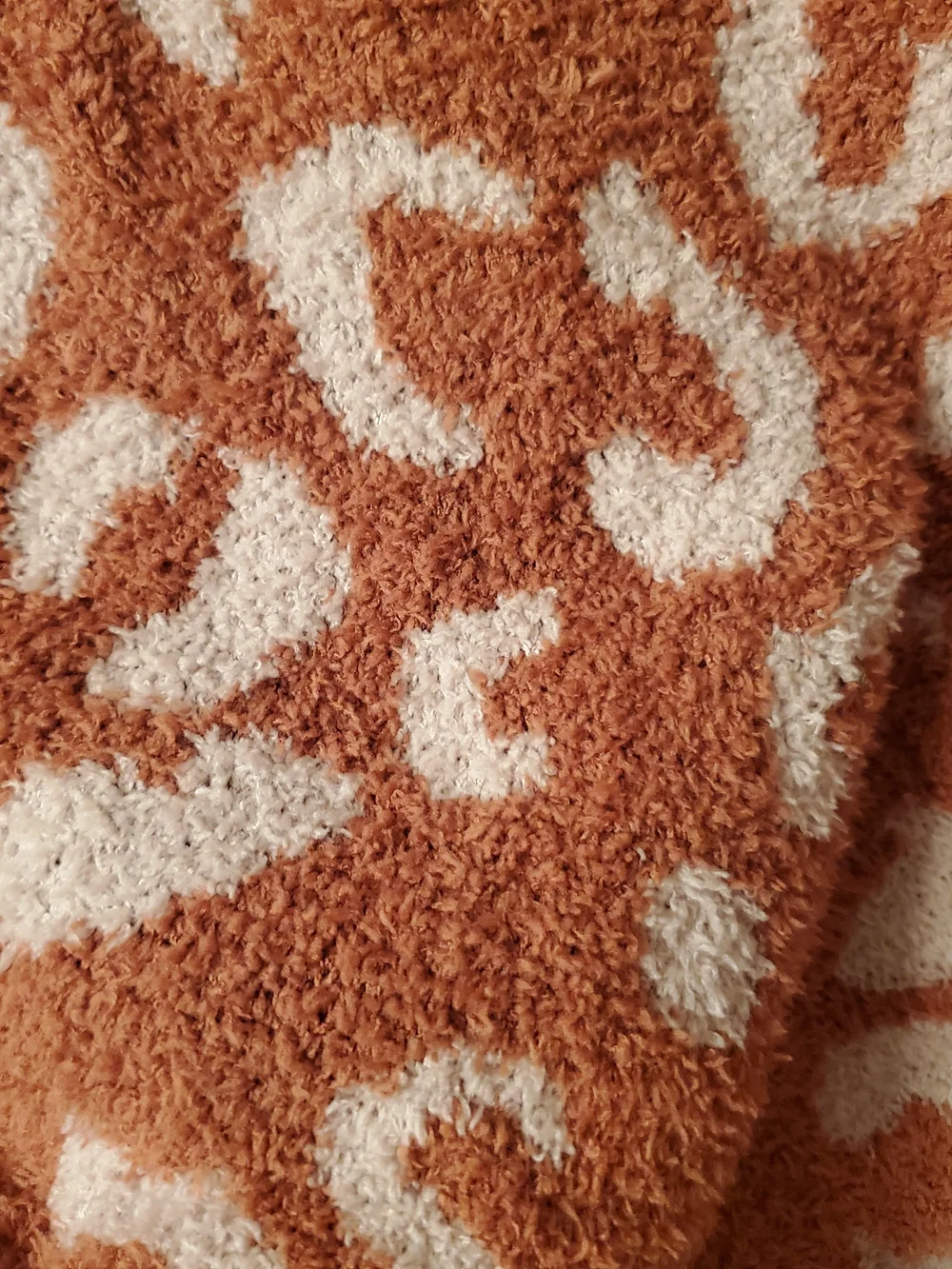 Women's Crewneck Leopard Sweater in Rust and Cream